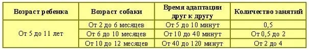 В настоящее время на базе Фонда Ордынцы трудятся и активно помогают детям - фото 5