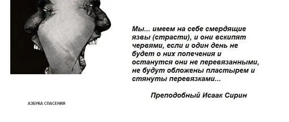 Святитель Василий Великий Поражается плоть чтобы исцелилась душа - фото 9