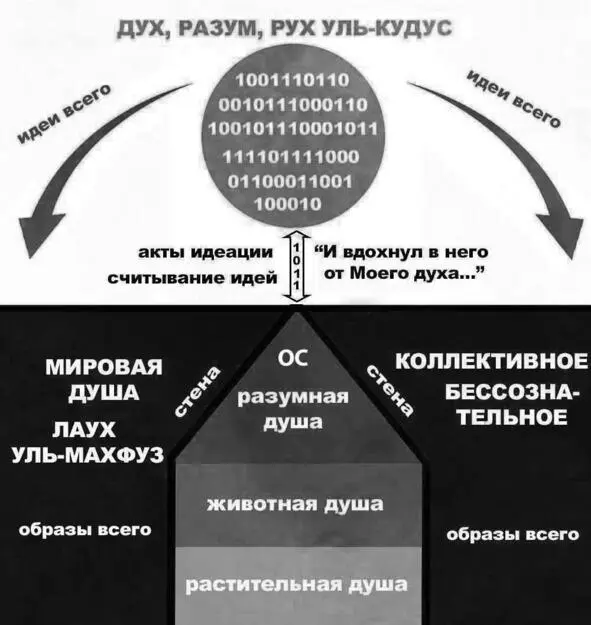 Прошу понять правильно я сейчас не уподобляю человека компьютеру это лишь - фото 1