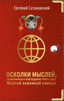 Евгений Сатановский - Осколки мыслей, записанные в последнюю треть года Жёлтой Земляной Свиньи
