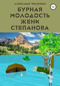 Александр Филичкин - Бурная молодость Жени Степанова