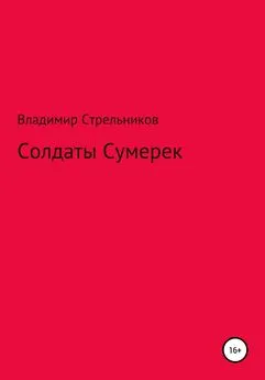 Владимир Стрельников - Солдаты Сумерек