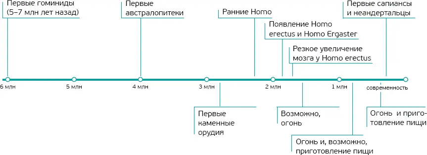 Бипедализм встань и иди Перенесемся в Африку примерно на 7 млн лет назад - фото 1