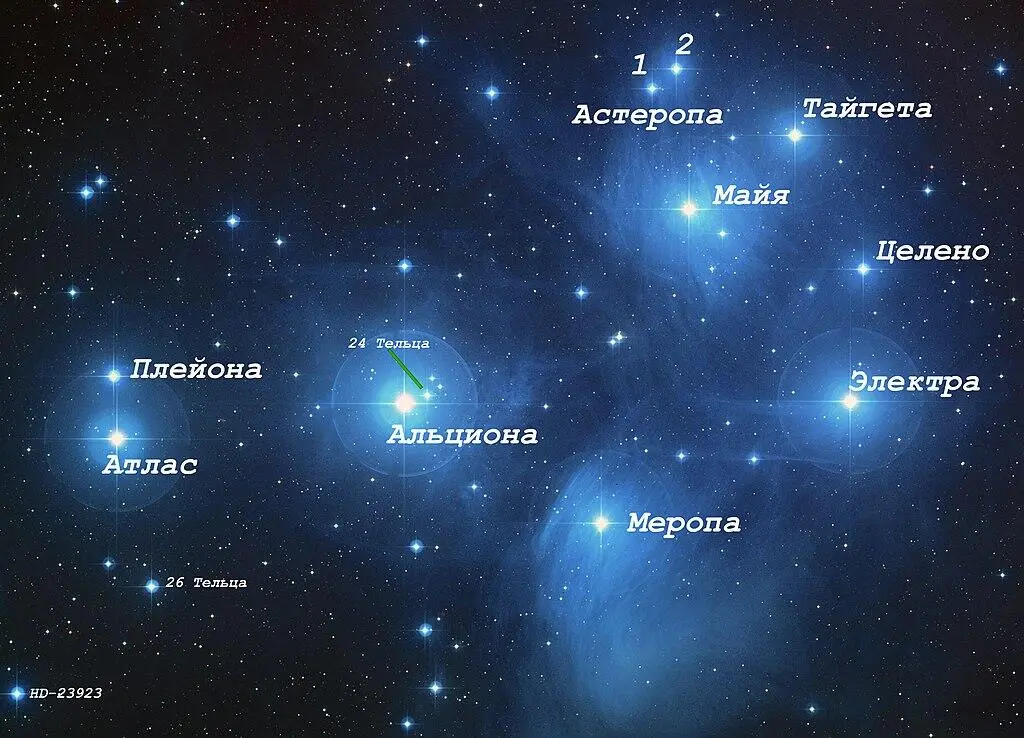 Плеяды звёздное скопление из статьи Википедии Плеяды Автор - фото 9