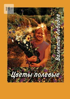 Валентин Лебедев - Цветы полевые