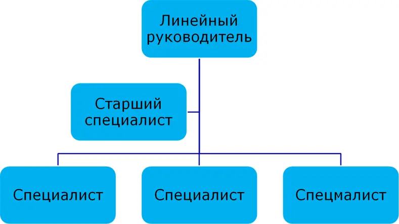 Рис 5Место старшего специалиста в структуре управления Для примера возьмем - фото 7
