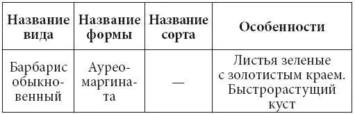 Условия произрастания Для выращивания барбариса подходят суглинистые и - фото 4