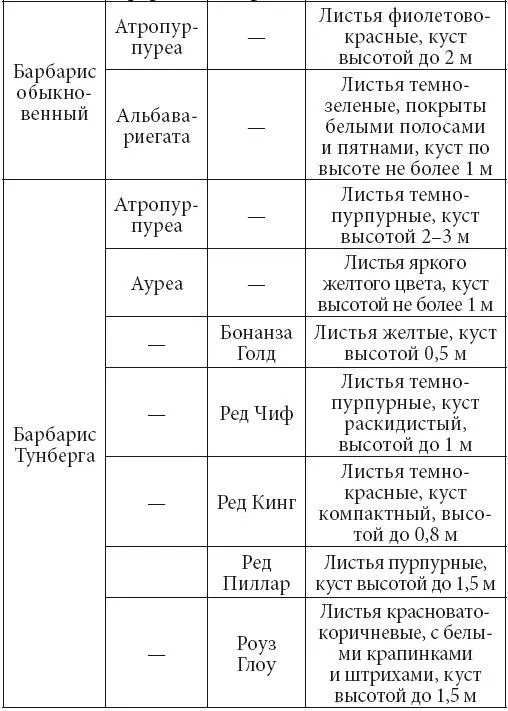 Условия произрастания Для выращивания барбариса подходят суглинистые и - фото 5