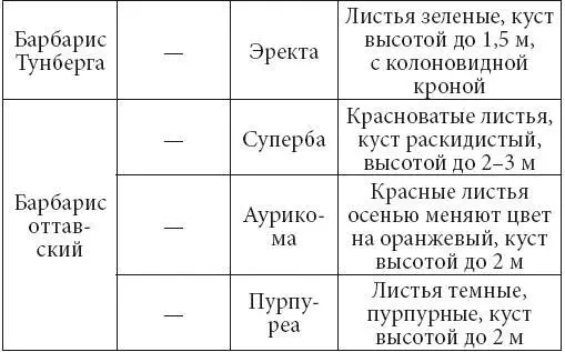 Условия произрастания Для выращивания барбариса подходят суглинистые и - фото 6