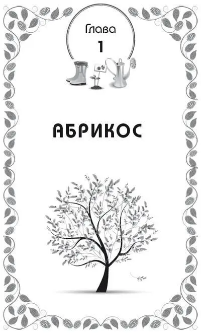 Абрикос один из признанных любимцев среди садоводов нашей страны Изначально - фото 2