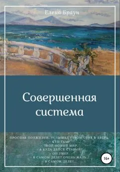 Елена Браун - Совершенная система