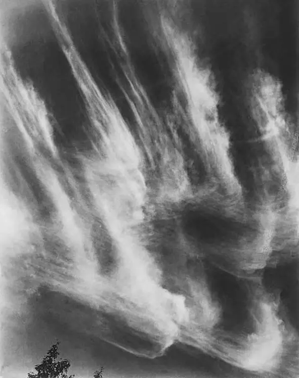 Эквиваленты Фото Альфред Стиглиц Одна из 220 фотографий сделанных в 192534 - фото 9