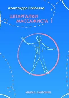 Александра Соболева - Шпаргалки массажиста – 1. Книга 1: анатомия