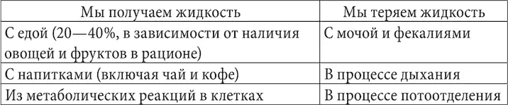 Пропорции содержания жидкости в различных продуктах питания отличаются в разных - фото 8