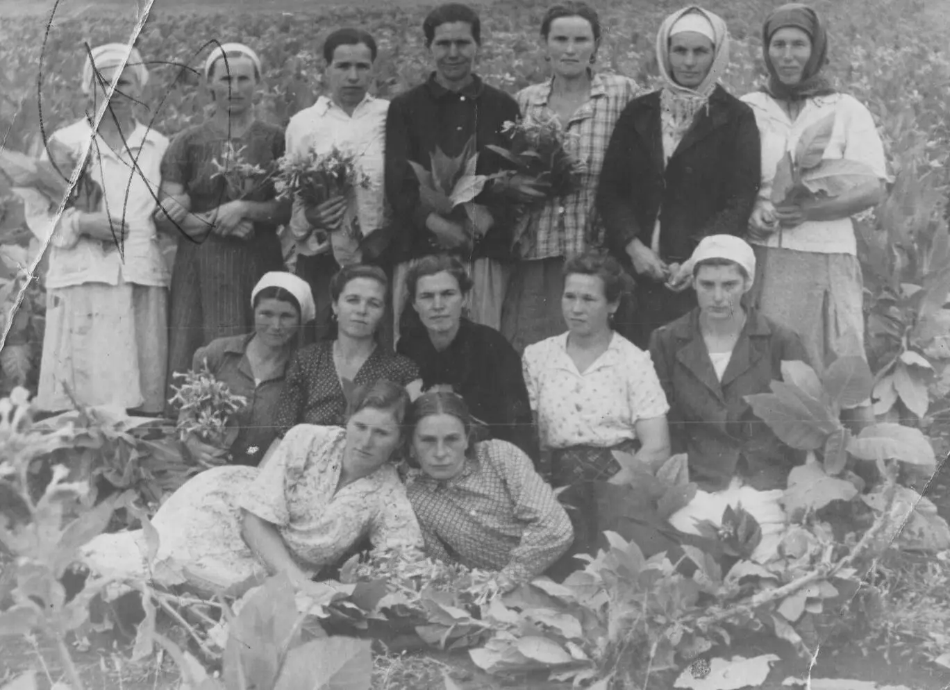 Звено мамы она учётчица Мне было пять лет и у нас родился мой брат Серёжа Я - фото 20