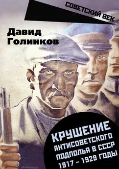 Давид Голинков - Крушение антисоветского подполья в СССР. 1917–1929 годы