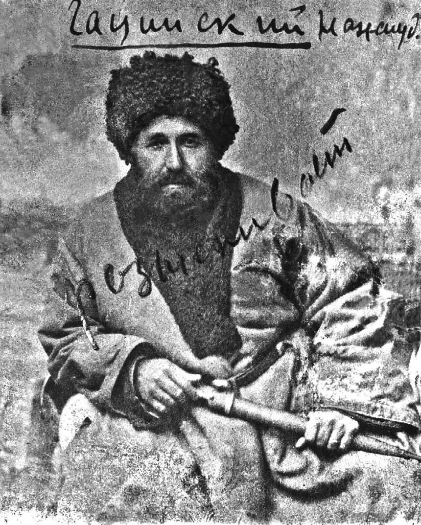 Нажмудин Гоцинский 18591925 политический деятель и духовный лидер - фото 6
