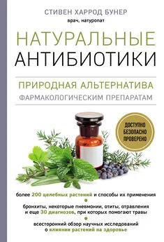 Стивен Харрод Бунер - Натуральные антибиотики. Природная альтернатива фармакологическим препаратам