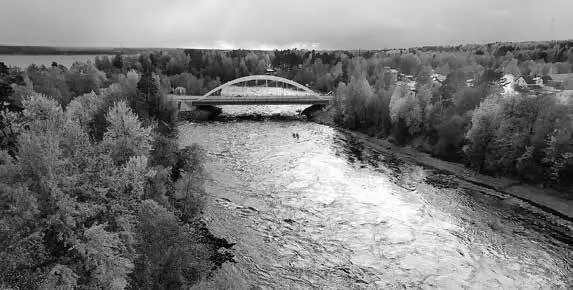 Лосевская протока вид с арки нового железнодорожного моста На 78м километре - фото 6
