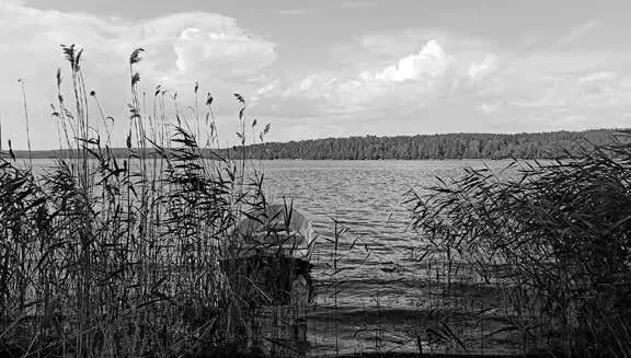 Озеро Суходольское Суванто Залив Дятел Глава 7 О знаменитых сказителях - фото 8