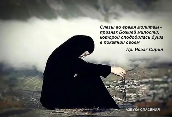 Пока не достигнешь слез знай что еще миру служит сокровенное твое и Божие - фото 7