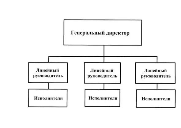 Рис11Линейная организационная структура предприятия линейная - фото 1