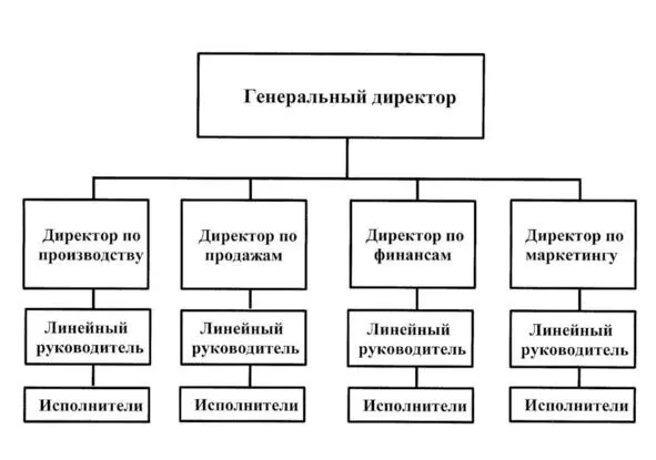Рис14 Линейнофункциональная организационная структура - фото 4