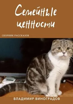 Владимир Виноградов - Семейные ценности