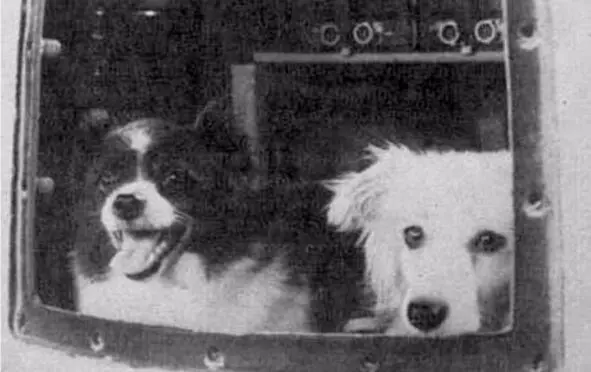 22 июля 1951 года Это мы Цыган и Дезик Сейчас объявят Старт Обычно эти - фото 5