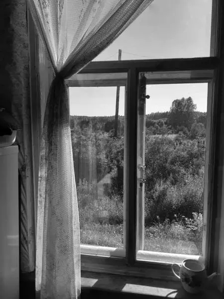 Вид из окна дома Н Касаткиной Погост Старый Никола Лето 2020 Как - фото 8