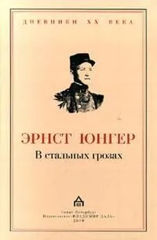 Эрнст Юнгер - В стальных грозах