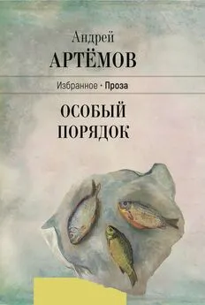 Андрей Артёмов - Особый порядок