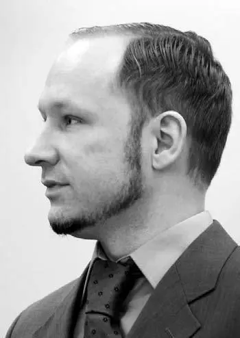 Андрес Брейвик Вильгельм Штекель был первым кто уделял особое внимание так - фото 12