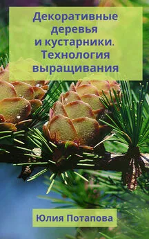 Юлия Потапова - Декоративные деревья и кустарники. Технологии выращивания