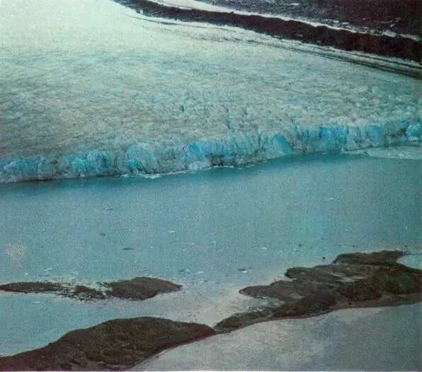 Здесь начинается Исфьорд Ледник Богер Ледниковый язык - фото 23