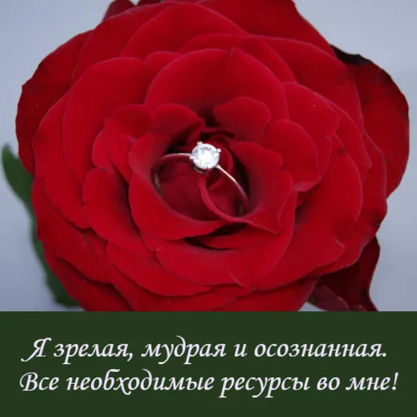Решение задач Здравствуй моя Дорогая Сегодня мне тебе очень хочется сказать - фото 8