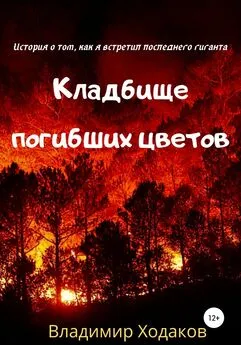 Владимир Ходаков - Кладбище погибших цветов