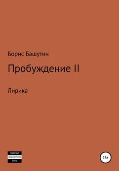Борис Башутин - Пробуждение 2