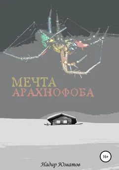 Надир Юматов - Мечта арахнофоба