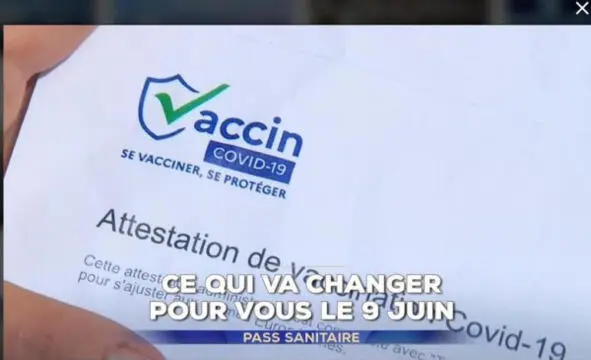 новый вариант штамм квируса из Бордо срочная вакцинация всех желающих - фото 194