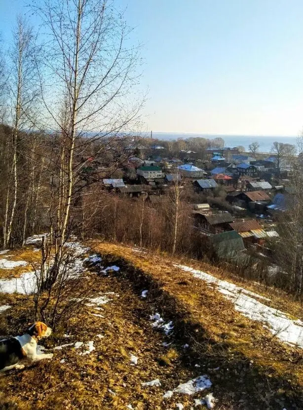 29 марта Сегодня воскресный день Обычно в нашем городе каждый выходной - фото 2