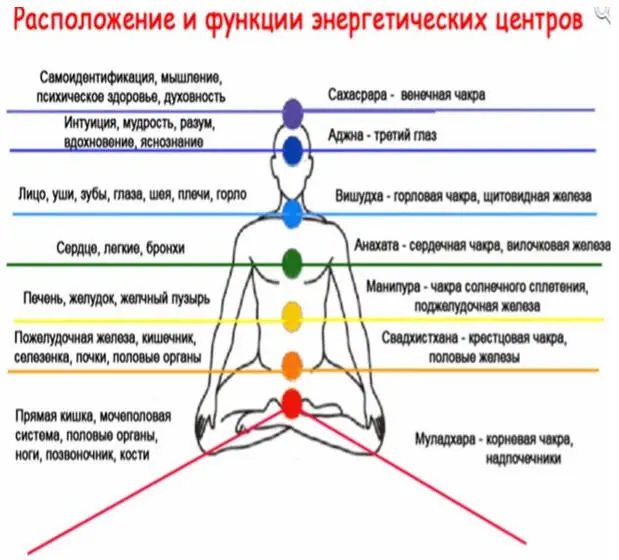 Все взаимодействия происходят на одном или нескольких энергетических уровнях В - фото 2