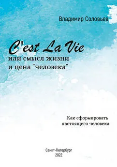 Владимир Соловьев - C'est La Vie или смысл жизни и цена «человека». Как сформировать настоящего человека