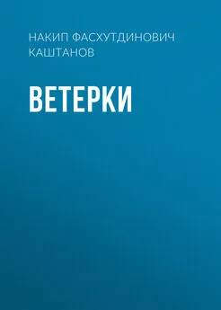 Накип Каштанов - Ветерки