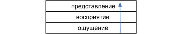 Процесс познавательной деятельности Память также позволяет нам воспроизводить в - фото 6