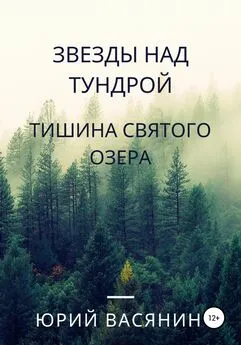 Юрий Васянин - Звезды над тундрой. Тишина Святого озера