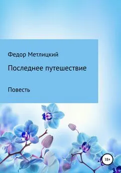 Федор Метлицкий - Последнее путешествие. Повесть