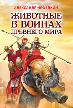 Александр Нефёдкин - Животные в войнах древнего мира