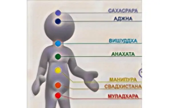 Человек состоит из нескольких тел плотного видимого и Тонких невидимых - фото 1