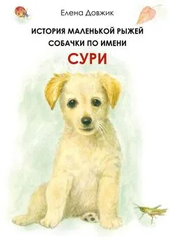 Елена Довжик - История маленькой рыжей собачки по имени Сури